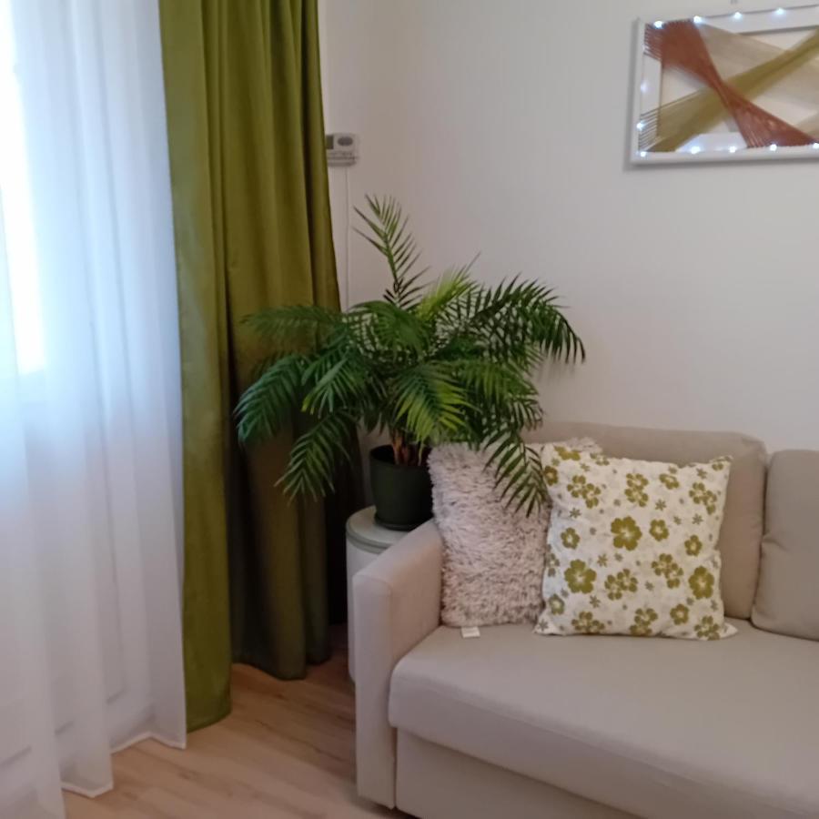 Harmonyhouse Διαμέρισμα Μπρασόβ Εξωτερικό φωτογραφία
